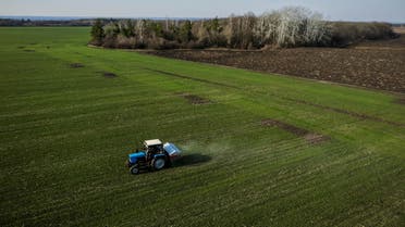 حقول القمح في أوكرانيا  - رويترز