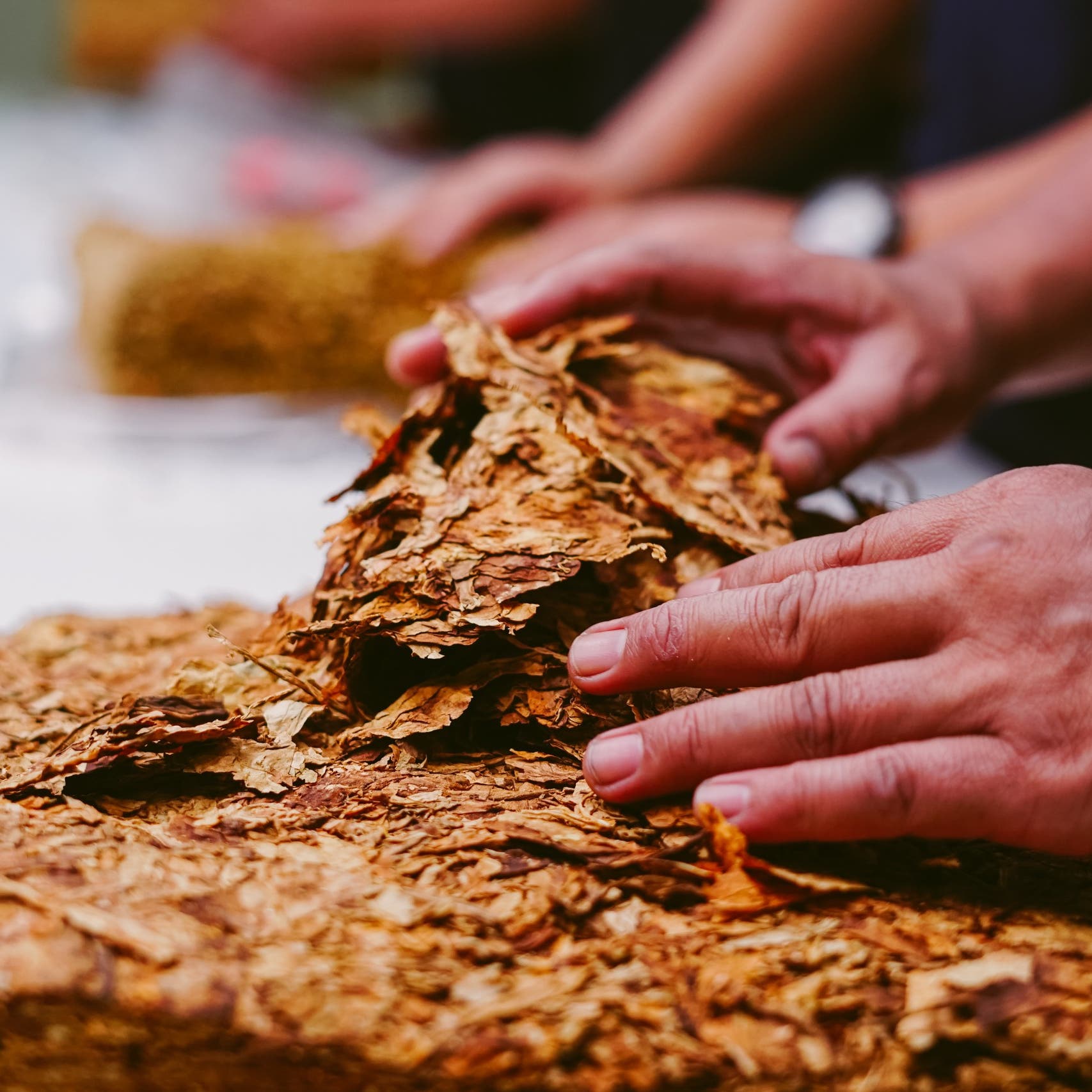‘Poisoning our planet’: WHO highlights tobacco industry damage to health, environment