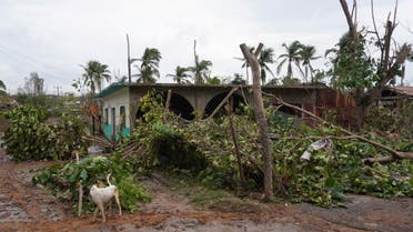 Tree branches lie on the floor near a house in the aftermath of Hurricane Agatha, in San Isidro del Palmar, Oaxaca state, Mexico, May 31, 2022. REUTERS/Jose de Jesus Cortes
