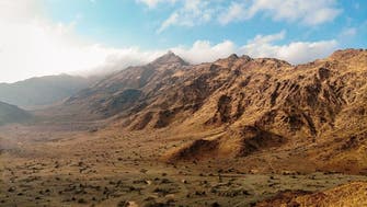 Saudi Arabia finds 80-million-year-old fossil, pre-historic rock art in Red Sea area