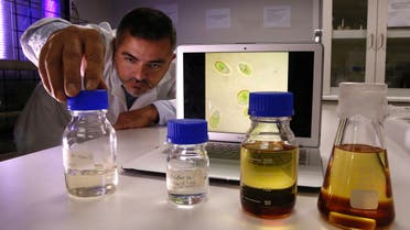 Biochemist Cesar Saez shows the different processes of manufacture of a biofuel made with micro algae for high displacement diesel engines for reducing emissions of gases and particulate matter in Santiago, Chile June 28, 2017 Picture taken June 28 2017. (File photo: Reuters)