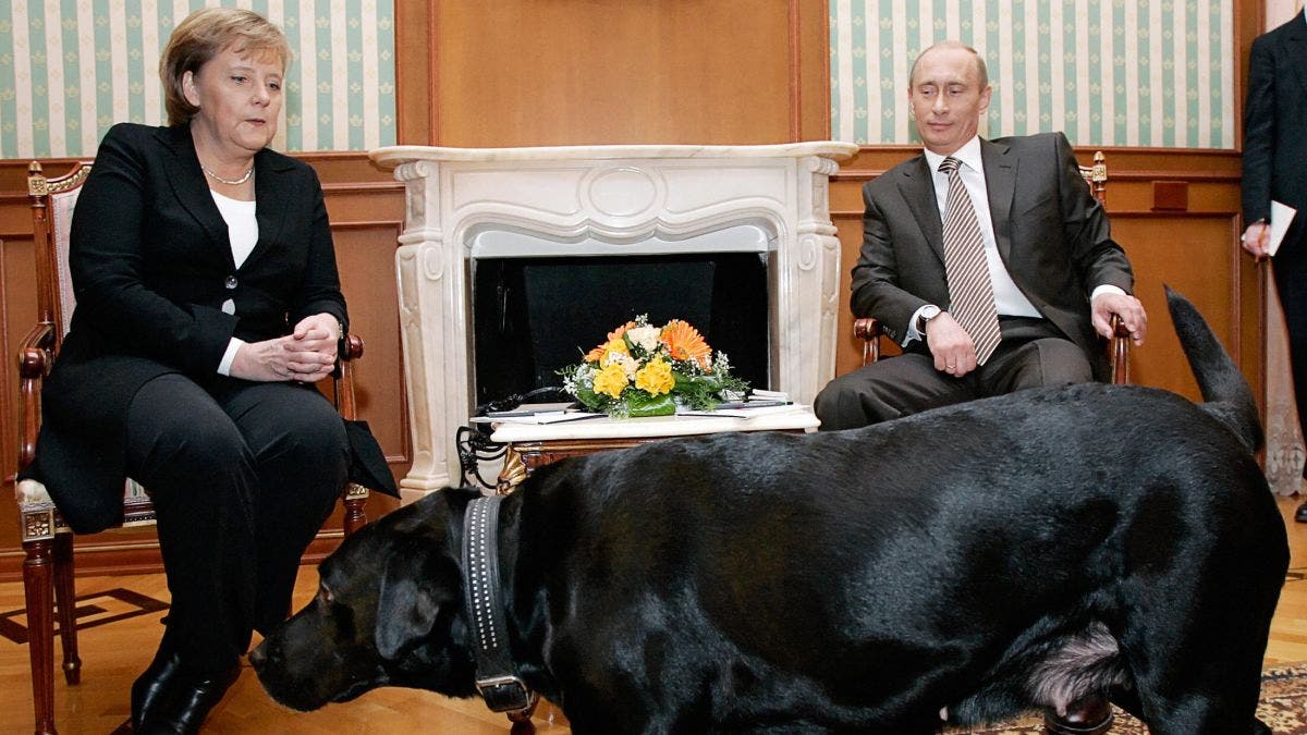 بوتين وميركل والكلب الأسود