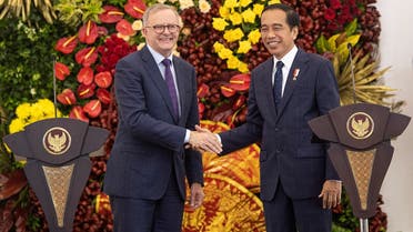 Australian Prime Minister Anthony Albanese shakes hands with Indonesian President Joko Widodo during a news conference following their meeting at the Presidential Palace in Bogor, Indonesia, on June 6, 2022. (Reuters)