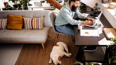  Dog is sleeping while his owner is working from homeDog is sleeping while his owner is working from home stock photo