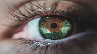 Eye health may directly influence a person's lifespan: Study