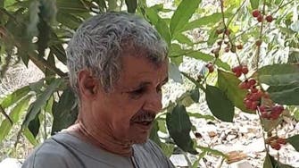 من ستة عقود.. مواطن سعودي يروي "للعربية.نت" قصته مع أشجار البن
