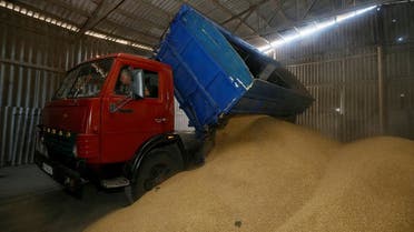A driver unloads a truck at a grain store during barley harvesting in the village of Zhovtneve, Ukraine. (File photo: Reuters)