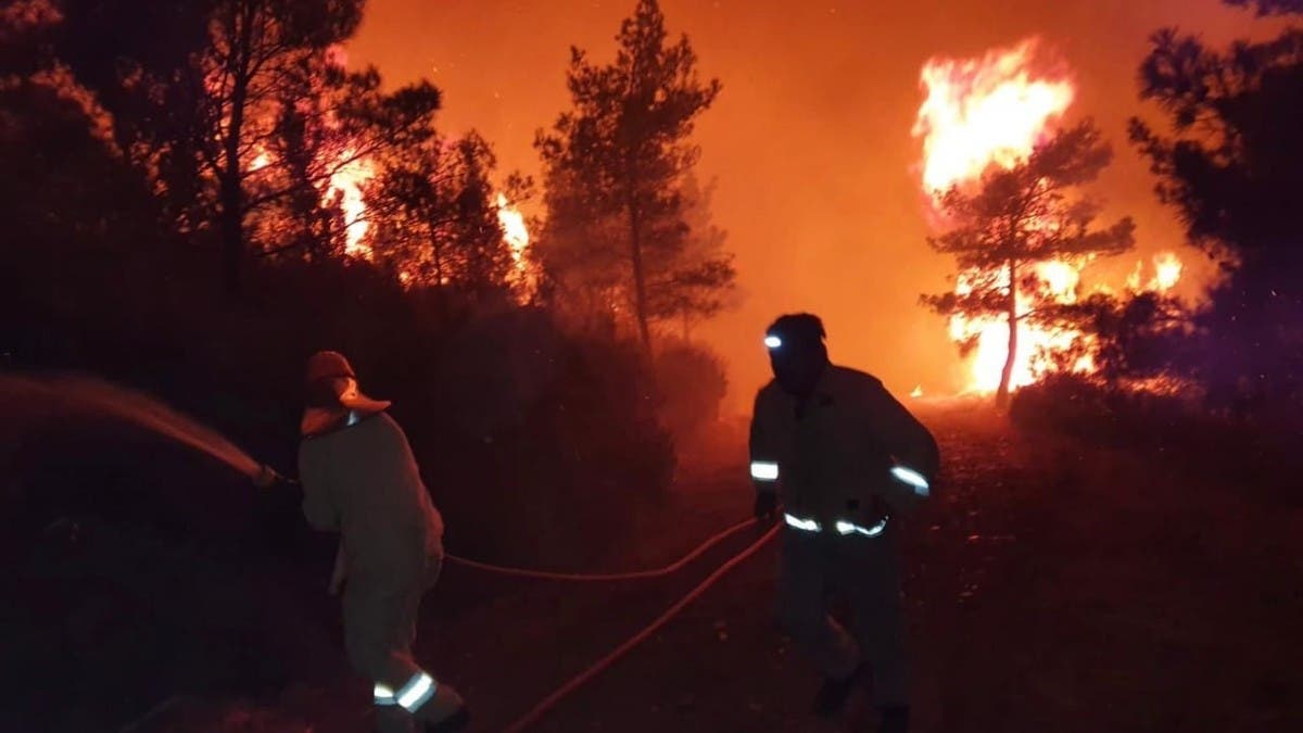 “الزراعة التركية” تؤكد السيطرة بنسبة كبيرة على حريق غابات موغلا