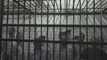 وصول قاتل الطالبة نيرة أشرف إلى قفص المحكمة