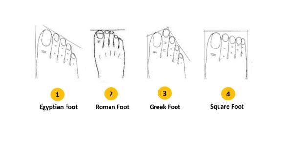 4 أنواع من الأقدام