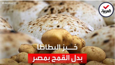 مصر تدرس إنتاج الخبز من البطاطا لتوفير مليون طن من القمح