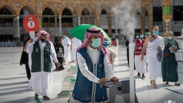 The environmental protection system at the Grand Mosque... has achieved exceptional success in preventive development services