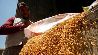 وزير التموين: احتياطيات مصر من القمح تكفي لـ7 أشهر