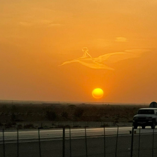 صورة تشغل السعوديين.. طفل على ظهر طير فوق الرياض