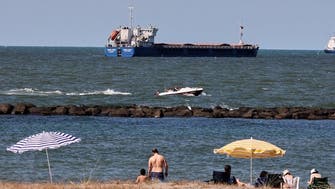 Kyiv says Russian ship carrying Ukrainian grain detained by Turkey at Karasu port