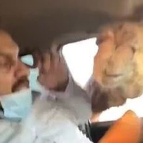 فيديو يوثق لحظات هلع.. جمل جائع أدخل رأسه في السيارة