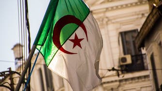 انتخاب الجزائر عضوا غير دائم بمجلس الأمن الدولي