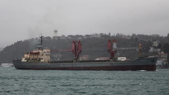 Kyiv asks Turkey to probe three more Russian ships that transported ‘stolen grain’ 