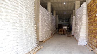 Russia vetoes 12-month extension of UN aid into Syria from Turkey