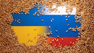 أزمة الحبوب الأوكرانية