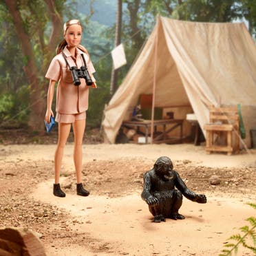 A handout picture shows a Jane Goodall Barbie doll and David Greybeard Chimpanzee along with the accessory products, in Los Angeles, US. (Reuters)