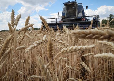 أحد حقول القمح في أوكرانيا (رويترز)