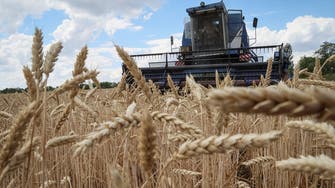 ارتفاع أسعار القمح مع جفاف الطقس وتهديد روسيا بالعمل خارج اتفاق الحبوب