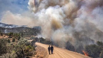 Forest fires rage in Morocco, one dead