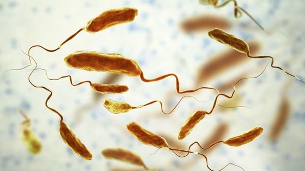 It causes death within hours.  How do you protect yourself from cholera?