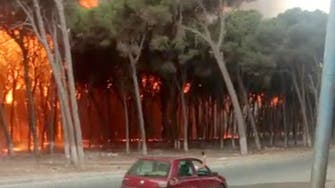 Morocco: One person killed fighting forest fire