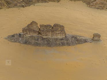 سمكة الصجراء