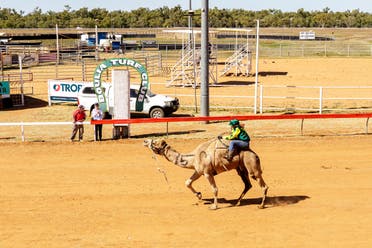 Jockey Kyrraley Woodhouse on camel Gunna winning the 1500m final at the 2022 Boulia Camel Races. (Supplied/Matt Williams)