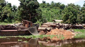 Democratic Republic of Congo to auction rainforest drilling rights