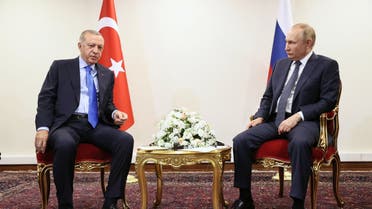 Russian President Vladimir Putin meets with Turkey's President Recep Tayyip Erdogan in Tehran on July 19, 2022. (AFP)