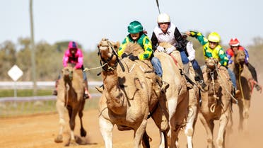 Jockey Kyrraley Woodhouse on camel Gunna winning the 400m Final at the 2022 Boulia Camel Races.(Supplied/Matt Williams)