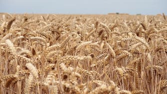 Explainer: Obstacles to overcome before Ukraine grain deal eases global food crisis