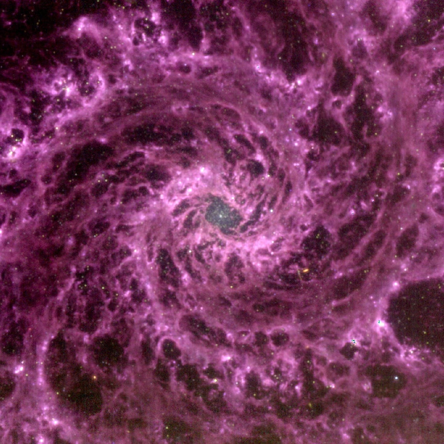 ‘Truly spectacular’: NASA’s James Webb telescope captures purple spiral galaxy