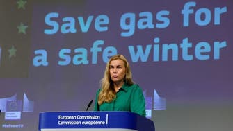 EU proposes member states reduce gas use in case Russia cuts supplies