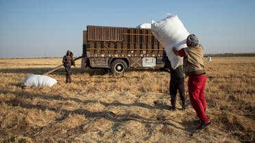 Workers carry a sack of hay to load it into a truck at a field in Qamishli countryside, in northeastern Syria June 30, 2022. (Reuters)