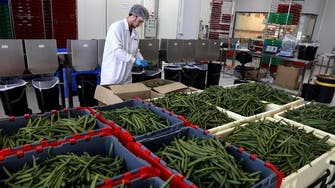 Vanilla spice: Arid Israel produces potent tropical pods