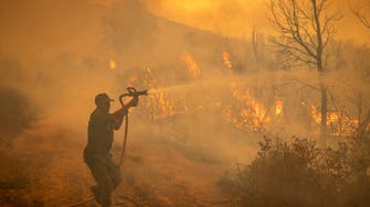 Fourteen die in Kazakhstan forest fires: Official