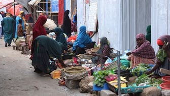 Suicide bombing in Somalia kills 11