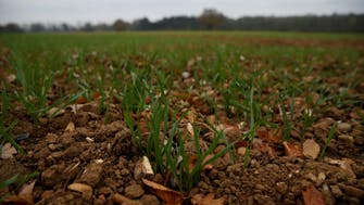 Equivalent of one football field of earth erodes every five seconds, FAO warns