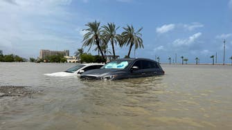 UAE should brace for escalating climate extremes: Experts