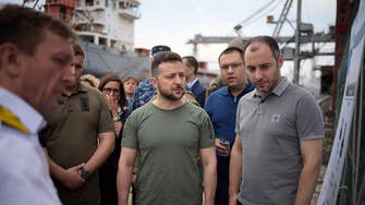 Ukraine president Zelenskyy oversees ships loaded with grain exports
