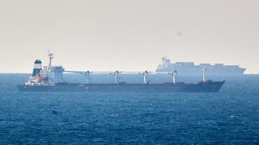 The Sierra Leone-flagged cargo ship Razoni, carrying Ukrainian grain, is seen in the Black Sea off Kilyos, near Istanbul, Turkey August 2, 2022. (Reuters)
