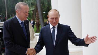 Turkish President Tayyip Erdogan meets with his Russian counterpart Vladimir Putin in Sochi, Russia August 5, 2022. (Reuters)