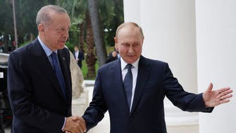 Erdogan says Turkey-Russia delegation meetings fruitful during visit to Sochi