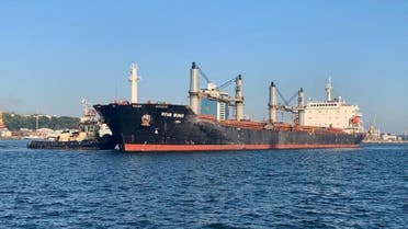The bulk carrier Riva Wind is seen at the sea port in Odesa after restarting grain export, amid Russia's attack on Ukraine, on August 7, 2022. (Reuters)