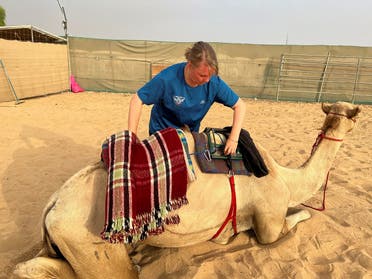 Camel trainer Jana Schmiedel preps a camel before riding it at the Arabian Desert Camel Riding center in Dubai, UAE, on August 1, 2022. (Reuters)